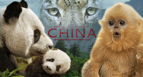 what animals are in the movie born in china